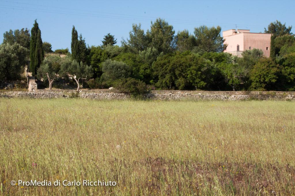 Masseria Moresano Bed & Breakfast Ugento Oda fotoğraf